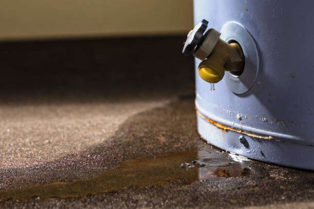 Best Water damage restoration near me  in Eastport, ME