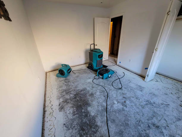 Best Water damage restoration specialists  in Eastport, ME