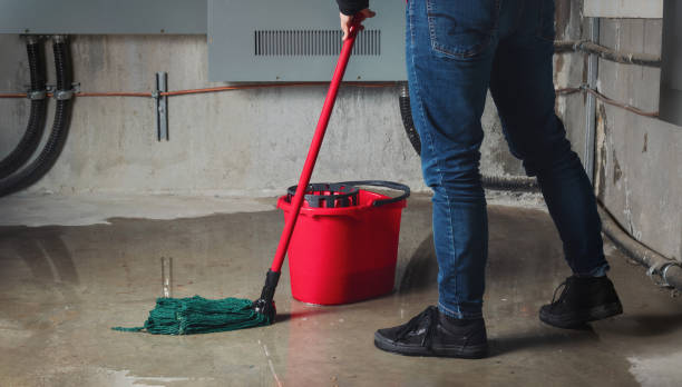 Best Carpet water damage restoration  in Eastport, ME