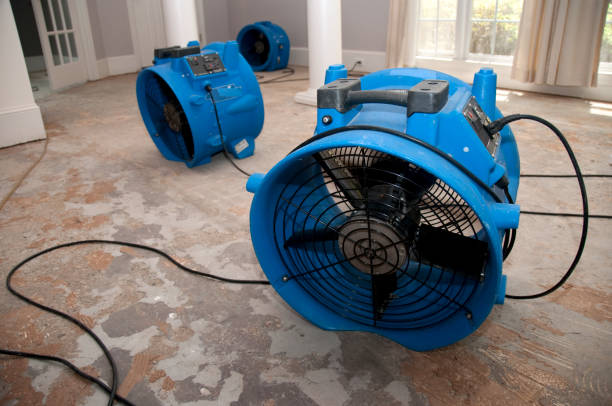 Best Basement water damage restoration  in Eastport, ME