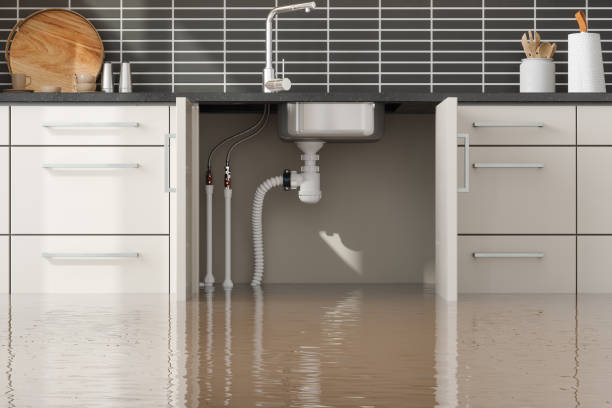 Best Water damage contractors near me  in Eastport, ME
